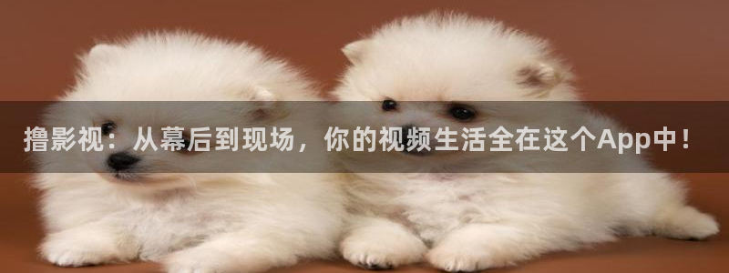 神马草民免费电影