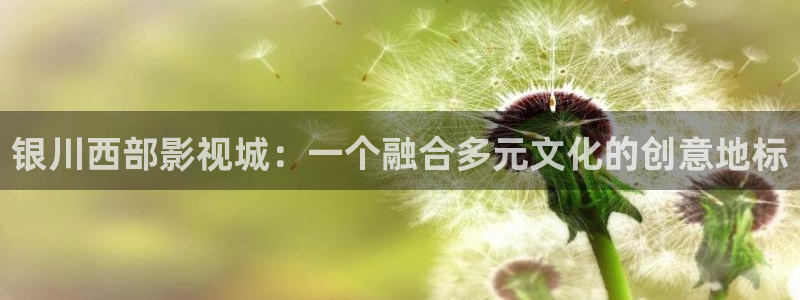 草民影院免费观：银川西部影视城：一个融合多元文化的创意地标