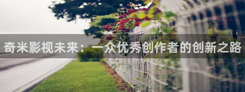 草民影院.：奇米影视未来：一众优秀创作者的创新之路