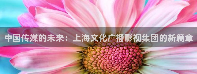 草民影院午夜理论：中国传媒的未来：上海文化广播影视集团的新篇章