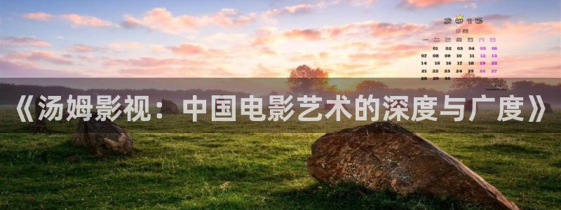 草民网：《汤姆影视：中国电影艺术的深度与广度》