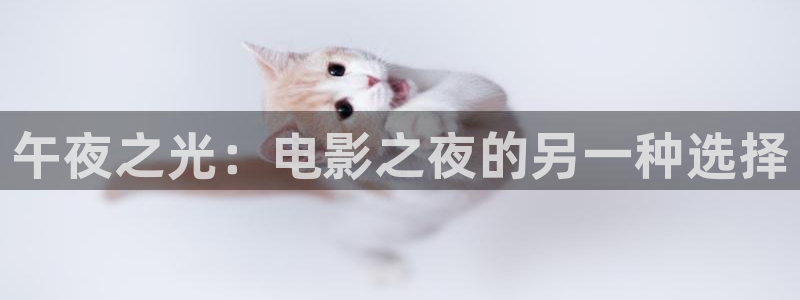 草民影院：午夜之光：电影之夜的另一种选择